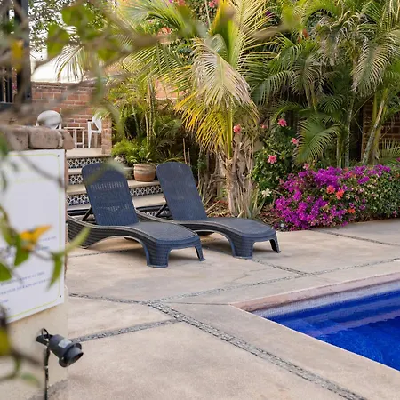 Cabo'S Hidden Gem! Steps To The Marina Or Beach